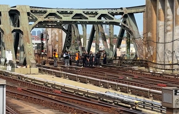 11-year-old child dies in Brooklyn subway surfing incident: sources