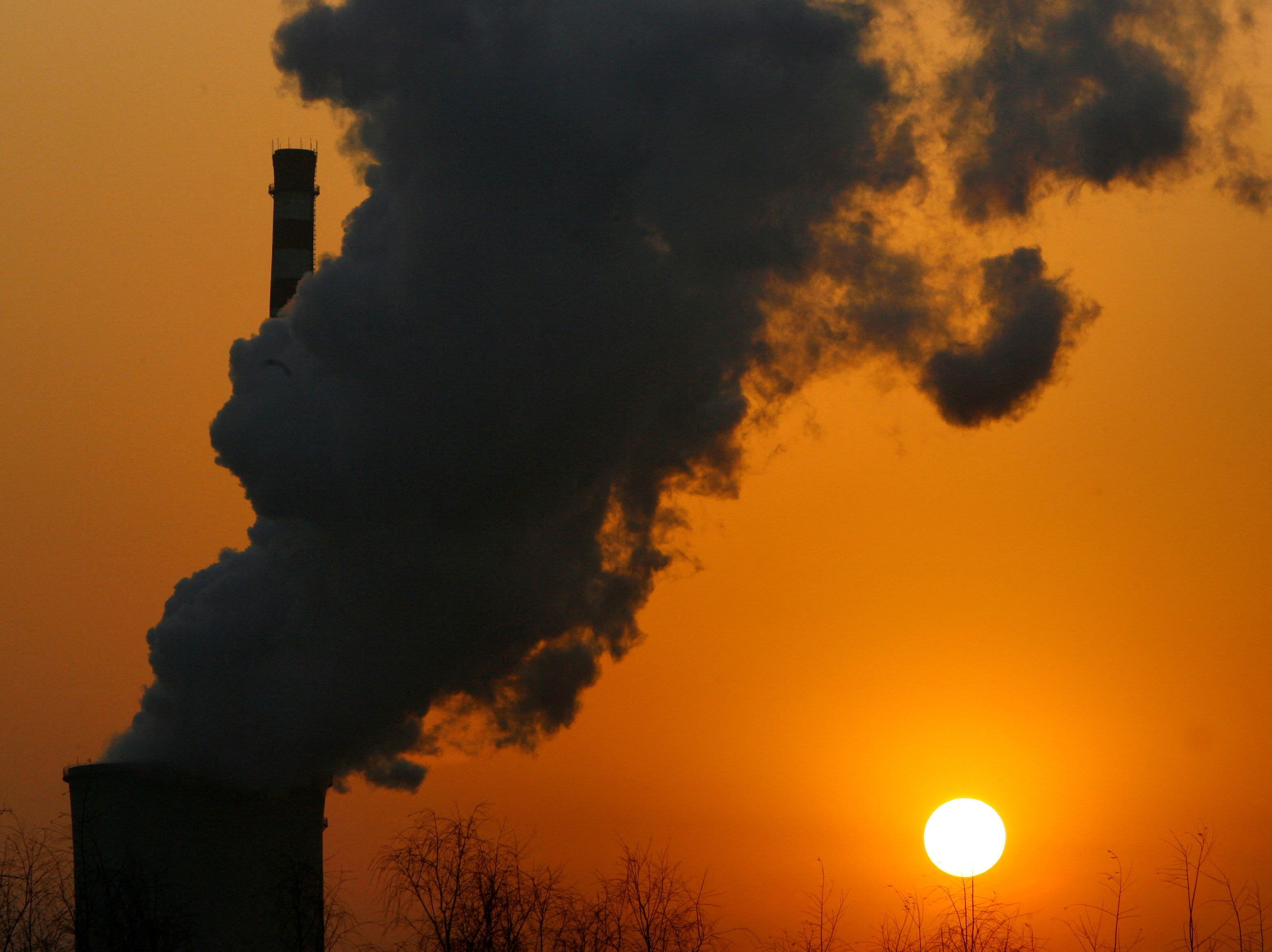 Touted as a climate solution, carbon offsets come back under scrutiny
