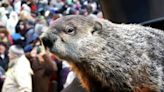 Punxsutawney Phil's babies are named Shadow and Sunny. Just don't call them the heirs apparent