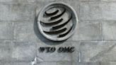 EU should join Africa on WTO reform to counter China -IW study
