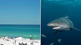 3 People Injured in 2 Different Shark Attacks at Neighboring Beaches in Florida: ‘This Is an Anomaly’