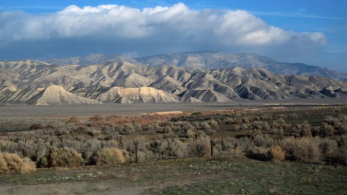 Santa Barbara Botanic Garden receives USDA grant for conservation outreach in Cuyama Valley