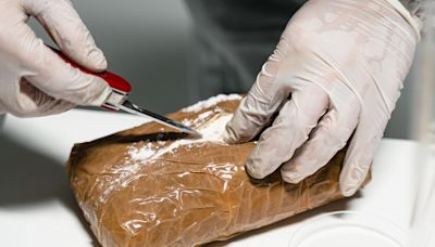 Un bañista encuentra 25 paquetes de cocaína en una playa de Florida por valor de 1 millón de euros