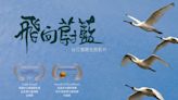 台江處委託廖東坤導演拍攝《飛向蔚藍》 榮獲2項國際大獎 | 蕃新聞