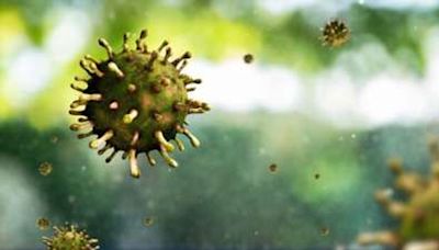 Know what is Chandipura virus that claimed lives of 6 children in Gujarat