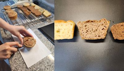 Investigadores del Conicet desarrollan un pan con alto contenido de fibra y vitaminas - Diario Hoy En la noticia