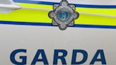 Pit bull terrier shot by Irish police after two injured