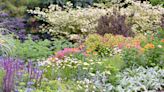 How to Plant a Border Garden that Will Add Tons of Color to Your Landscape