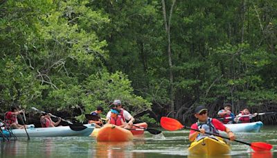 Making waves: 10 must-try water activities in Singapore