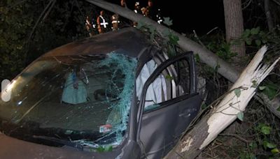 2 injured after driver runs off road, tree falls onto vehicle