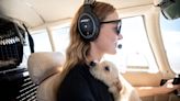'Despair solves nothing': How pilots in tiny planes are saving dogs from death