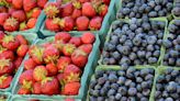 Northern Michigan farmers markets return with fresh produce, goods