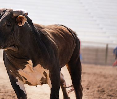 San Antonio bull rider dies after being thrown, stomped by bull at Bandera rodeo event