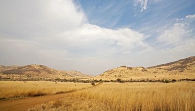 Turista español muere atropellado por elefantes mientras tomaba una foto en Sudáfrica