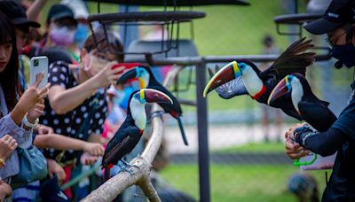 九九峰動物樂園周末歡慶2歲生日 推9／7-9壽星享99元入園等優惠