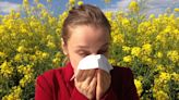 2024′s worst cities for grass allergies this summer