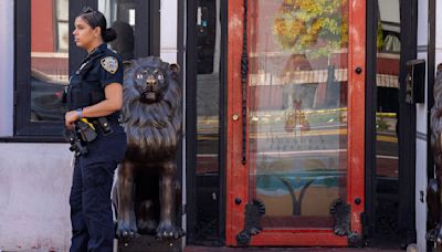 2 bystanders wounded by stray bullets caps bloody week in the Bronx