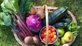 7 Vegetables That Shouldn't Share a Garden Bed