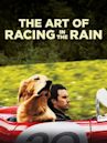 The Art of Racing in the Rain