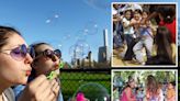 Central Park’s party-pooper rules baffle New Yorkers — with bubbles, balloons and tables off limits for birthday parties