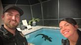 10-foot alligator breaks through enclosure, makes ‘himself right at home’ in Florida pool