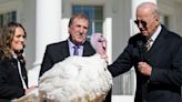 Joe Biden pardons turkeys Chocolate and Chip, gives thanks for 'no ballot stuffing' and 'no fowl play'