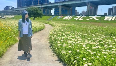 新北春遊少女祕密花園 河濱公園3公頃絢爛花海迎人