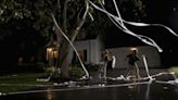 Fall Victim to Mischief Night? Here's How to Get Toilet Paper Out of Your Trees
