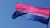 What do the Bisexual Pride Flag colors mean? History and symbolism of the flag explained.