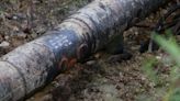 Colombia's oil theft soars, leaving trail of environmental harm