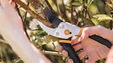 'Cuts like a hot knife through butter': These powerful Fiskars pruning shears are down to just $14