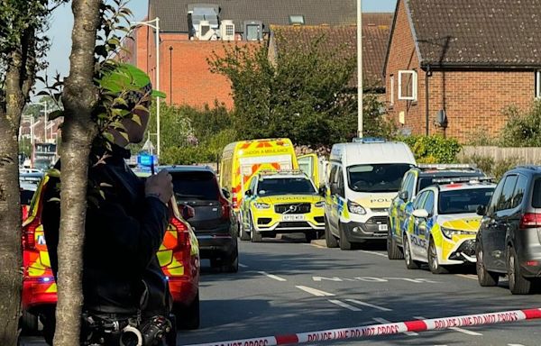 Hainault: What we know about London sword attack