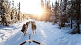 The Gear I Use to Survive the Country’s Most Extreme Dogsled Race