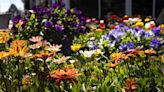 Warm weather is firing up Omaha's gardening fever, but here's why you should wait to plant