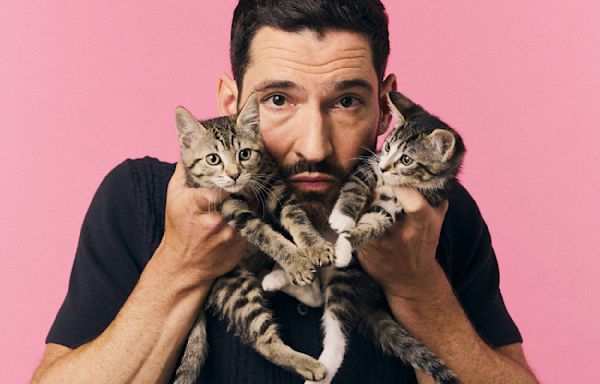 Tom Ellis Just Talked About "Lucifer," His New Animated Series, And More While Playing With Kittens