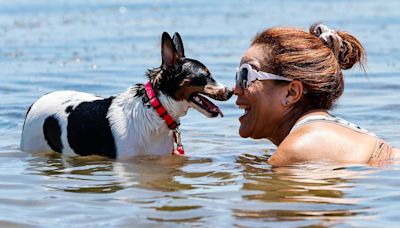 It sure feels like the hottest July ever, but is it actually? Here’s what forecasters say