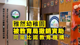 雅然幼園管理不合格 被撤資助