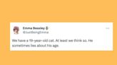 20 Of The Funniest Tweets About Cats And Dogs This Week (Jul. 8-14)