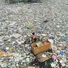 Plastic pollution