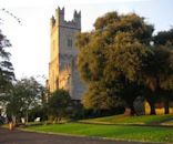 St Mary's Cathedral, Limerick