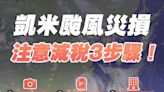 強颱凱米災損 30日內可申請租稅減免 | 蕃新聞