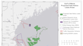 As new wind lease areas are eyed off Cape Cod, leaders seek 'a seat at the table'