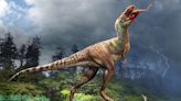 Young tyrannosaur found with baby dinosaurs in its stomach