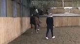 Video shows British Olympian Charlotte Dujardin whipping horse in training session