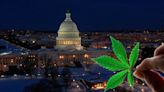 D.C. Cannabis Sales Ban Lifted In GOP Committee Spending Bill