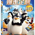 (全新未拆封)馬達加斯加爆走企鵝 Penguins Of Madagascar DVD(得利公司貨)
