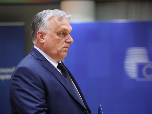 Orbán llega a Kiev para entrevistarse con Zelenski