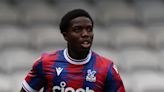 Crystal Palace extend Nathan Ferguson’s contract despite miserable injury record