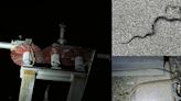 Snake incursions causing outages at Middle Tennessee Electric substation