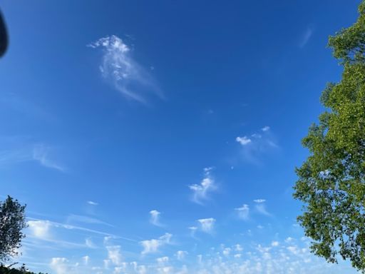 Jumping jellyfish! What are those clouds?